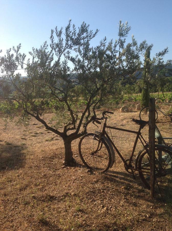 Le Vieux Portail Bed and Breakfast Saint-Saturnin-d'Apt Exteriör bild