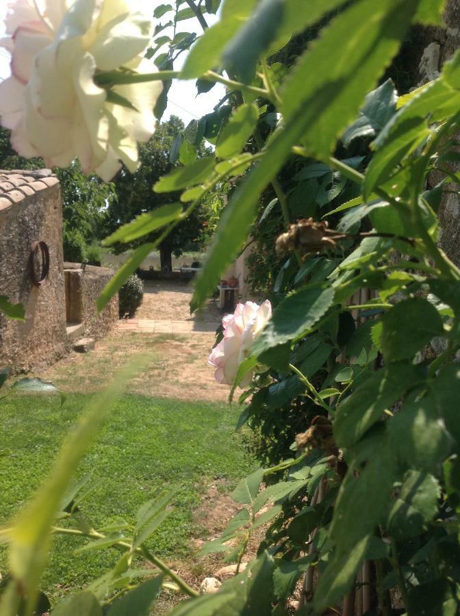 Le Vieux Portail Bed and Breakfast Saint-Saturnin-d'Apt Exteriör bild
